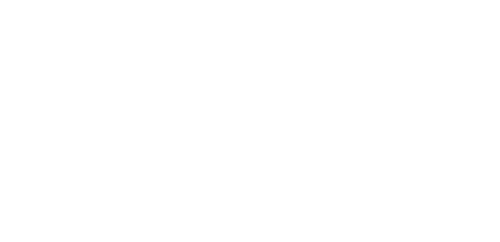 flyer logo