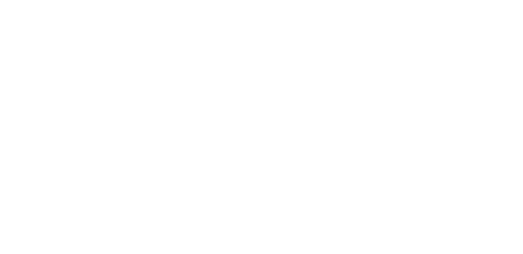 klever logo