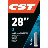 Cst BIB 28X13/8-11/8-11/4-175 AV (40)